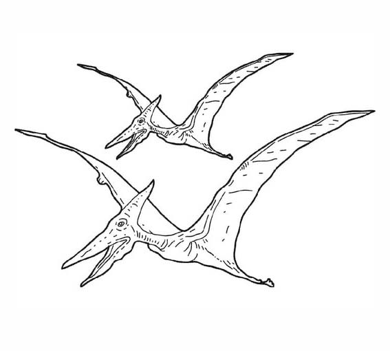 Desenhos de Desenhe pterodáctilo em voo para colorir