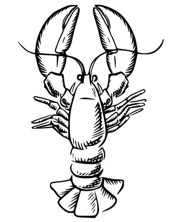 Desenhos de Desenhos Realistas Escorpião para colorir