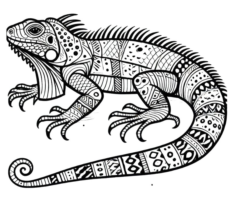 Desenhos de Desenhar Iguana Imprimir para colorir