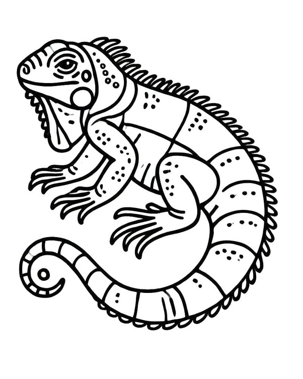 Desenhos de Desenhar Iguana grátis para crianças para colorir