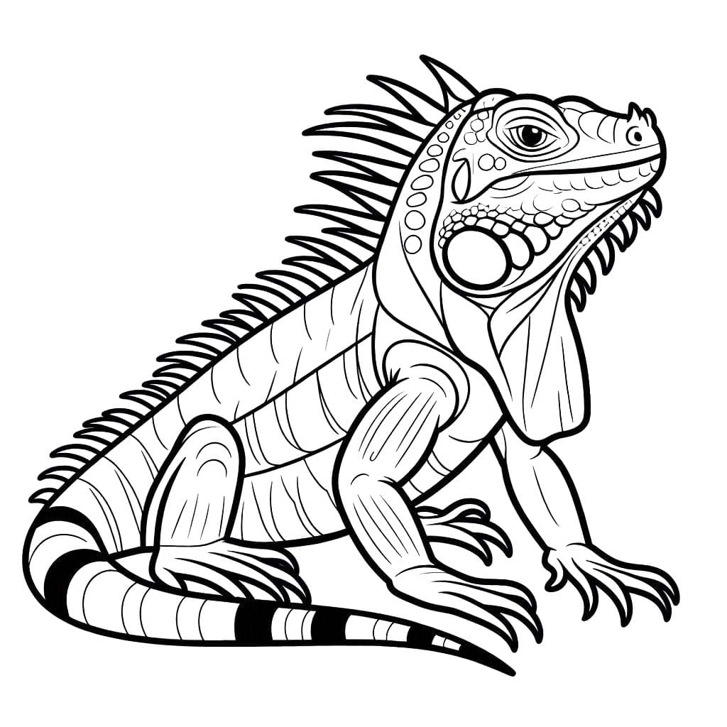 Desenhos de Desenhar Iguana muito fácil para colorir
