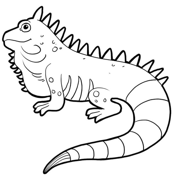 Desenhos de Desenhar Iguana para crianças para colorir