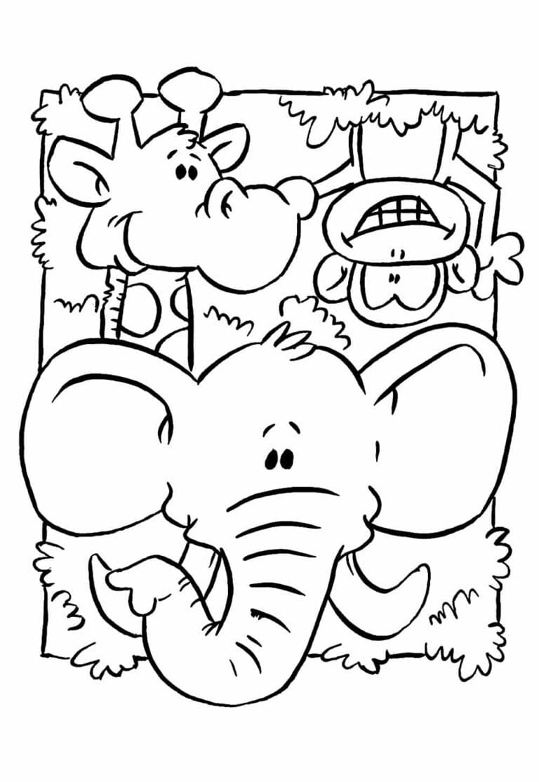 Desenhos de Desenhar Safari 11 para colorir