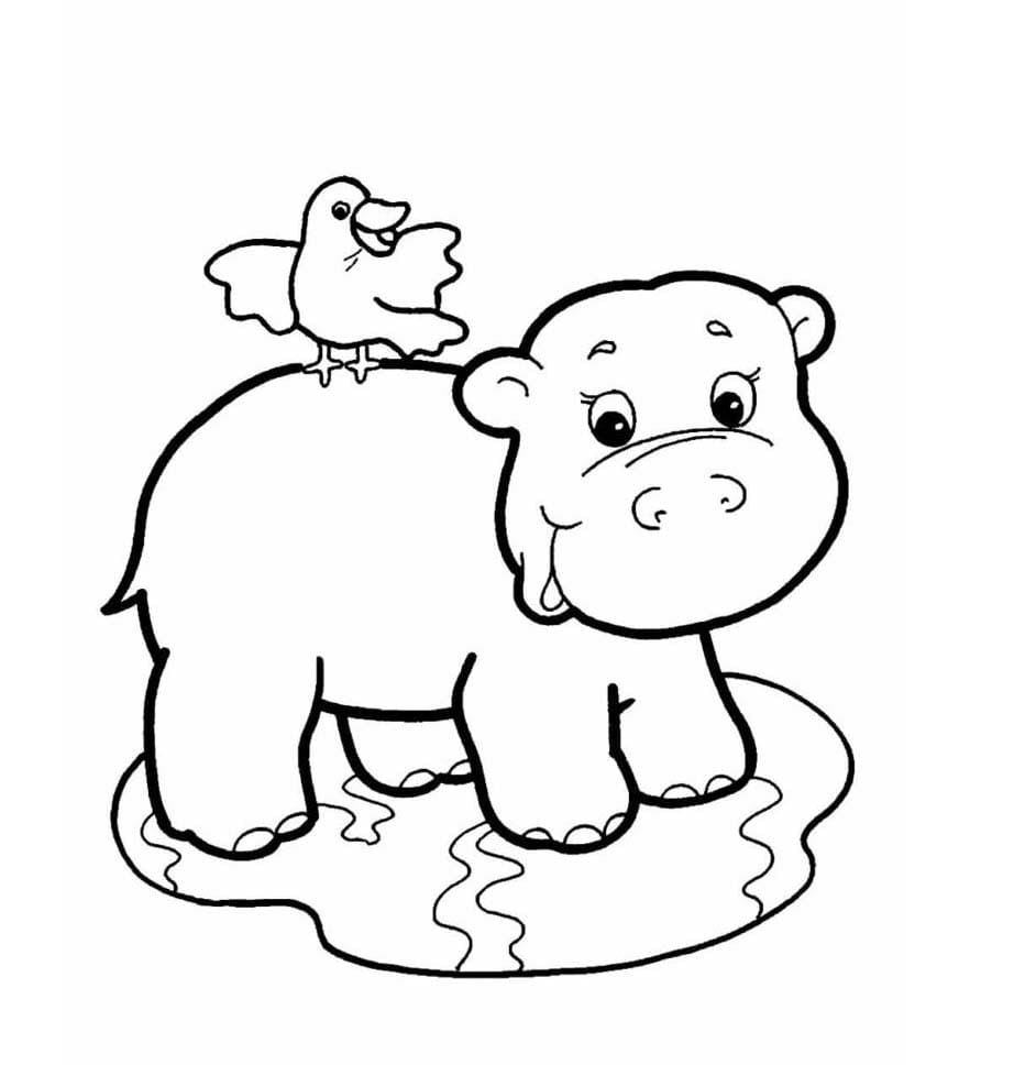 Desenhos de Desenhar Safari 6 para colorir