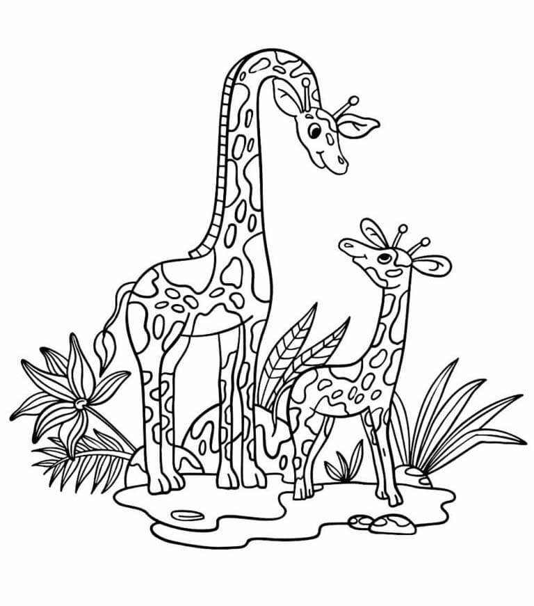 Desenhos de Desenhar Safari 9 para colorir