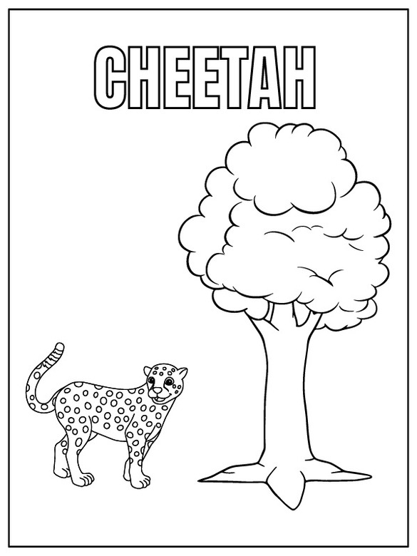 Desenhos de Desenhar Safari Animal chita para colorir