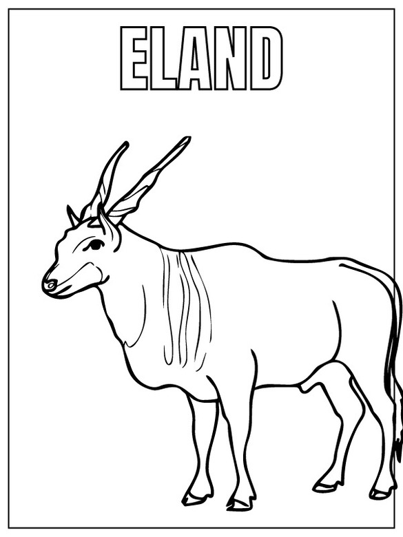 Desenhos de Desenhar Safari Animal elã para colorir