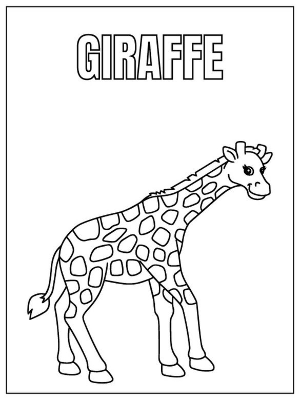 Desenhos de Desenhar Safari Animal girafa para colorir