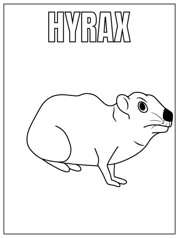 Desenhos de Desenhar Safari Animal hyrax para colorir