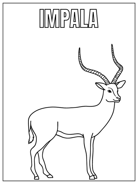 Desenhos de Desenhar Safari Animal impala para colorir