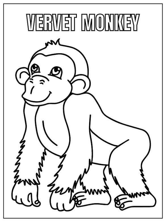Desenhos de Desenhar Safari Animal macaco para colorir