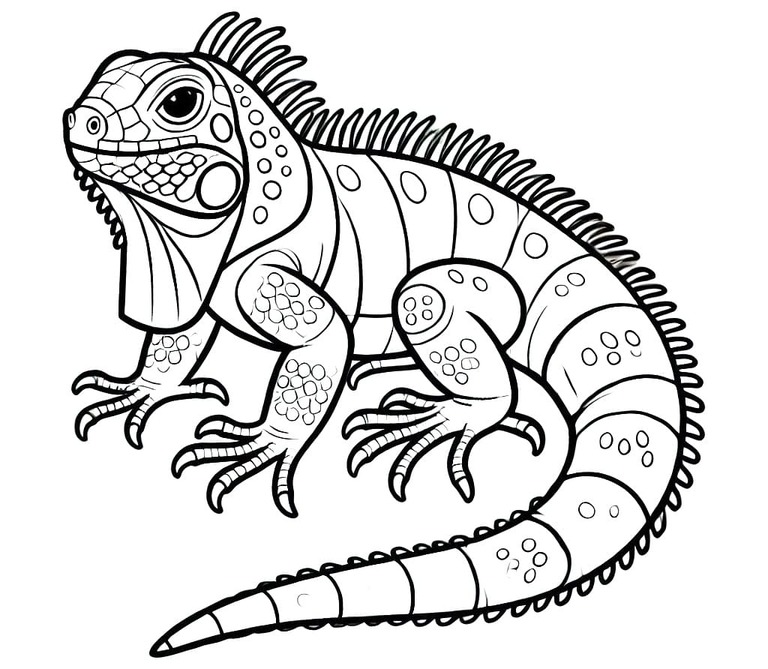 Desenhos de Desenhe Iguana 2 para colorir