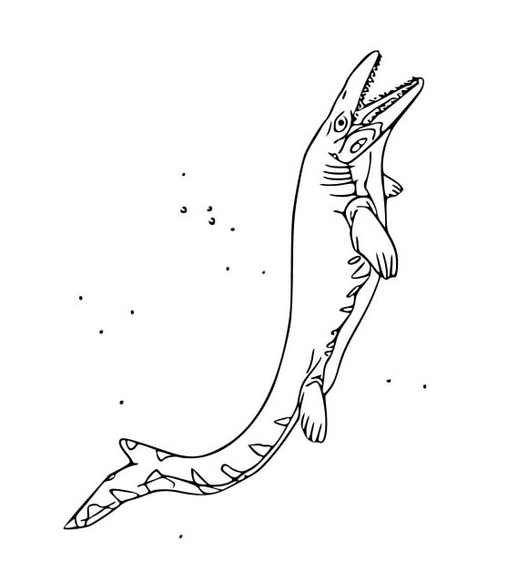 Desenhos de Desenhe Mosassauro 1 para colorir