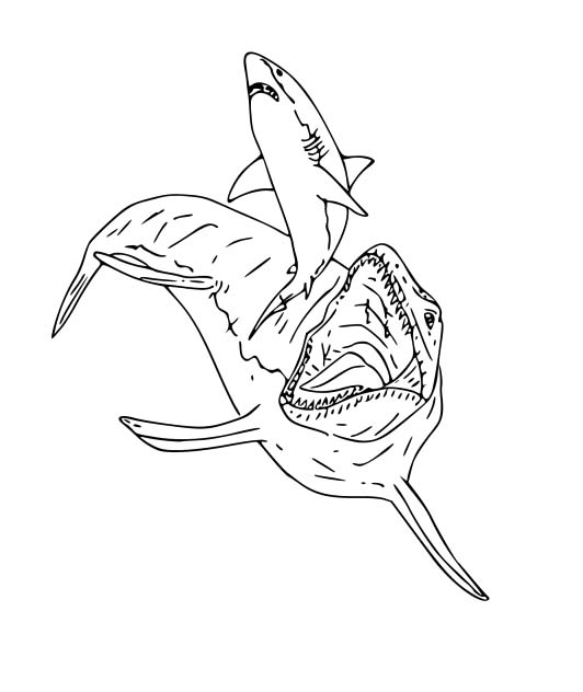 Desenhos de Desenhe Mosassauro 2 para colorir