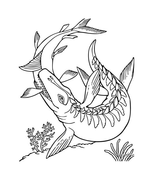 Desenhos de Desenhe Mosassauro 3 para colorir