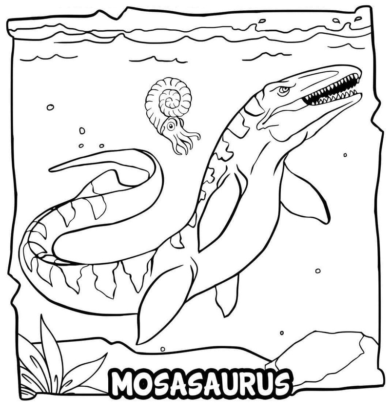 Desenhos de Desenhe Mosassauro básico para colorir