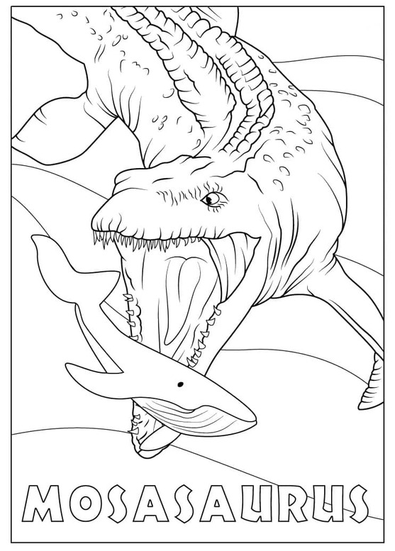 Desenhos de Desenhe Mosassauro fácil para colorir
