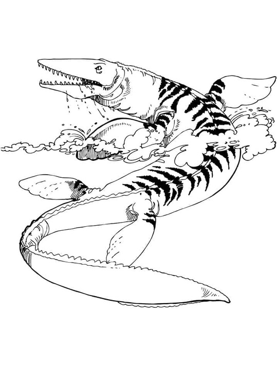Desenhos de Desenhe Mosassauro muito básico para colorir