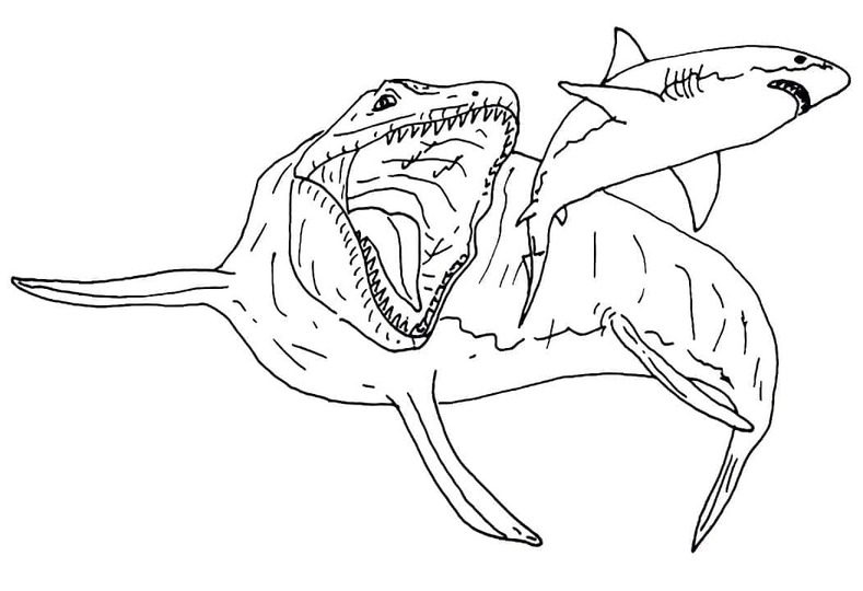 Desenhos de Desenhe Mosassauro muito fácil para colorir