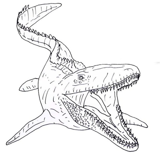 Desenhos de Desenhe Mosassauro para crianças para colorir