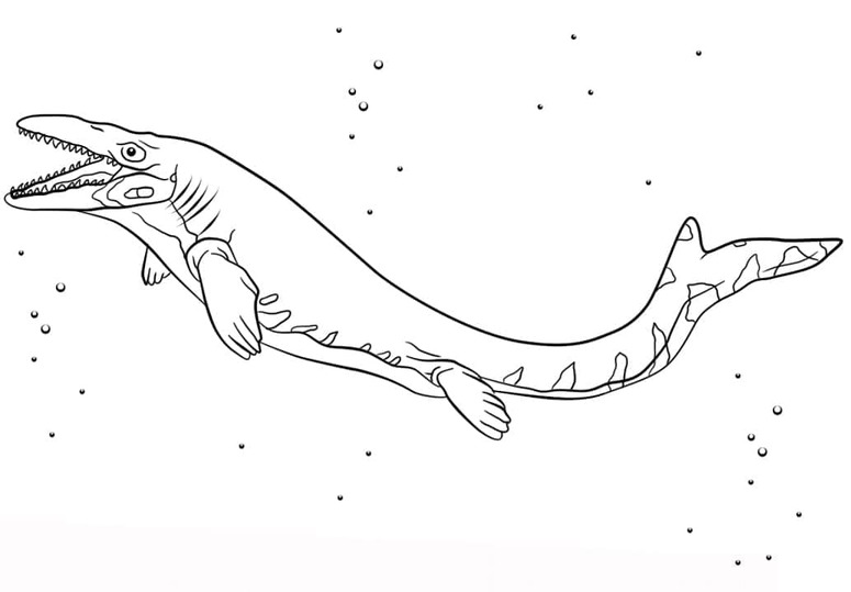 Desenhos de Desenhe Mosassauro simples para colorir