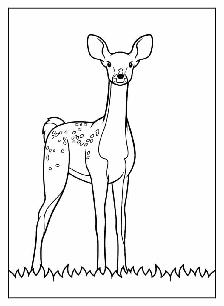 Desenhos de Desenhe Safari para imprimir para colorir