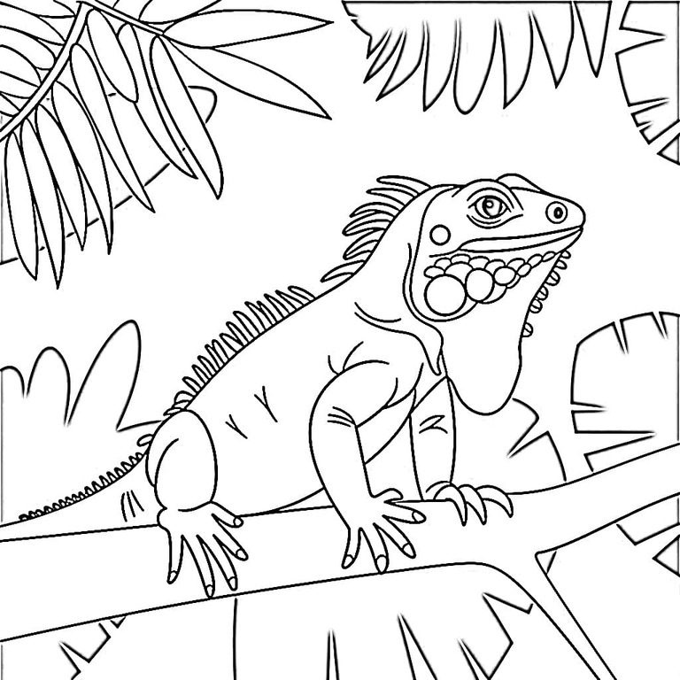 Desenhos de Desenhe Simples Iguana para colorir
