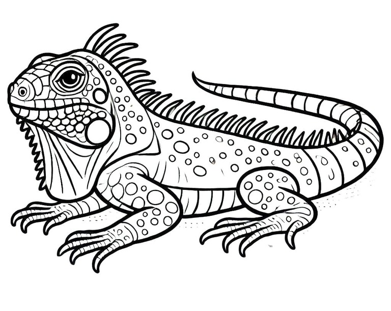 Desenhos de Desenho Iguana imprimir grátis para crianças para colorir
