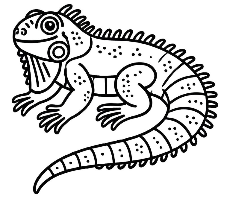Desenhos de Imagem Iguana fácil para colorir