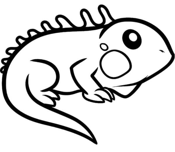 Desenhos de Imagem Iguana impressão grátis para colorir