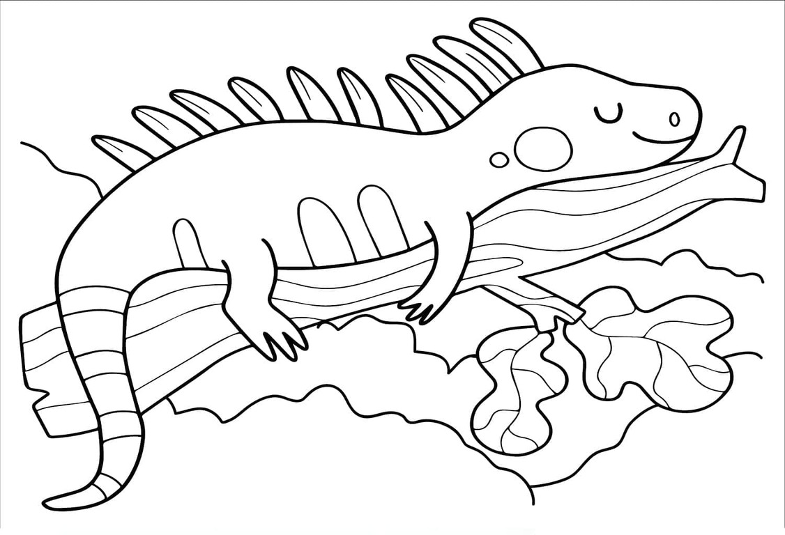 Iguana Para Colorir