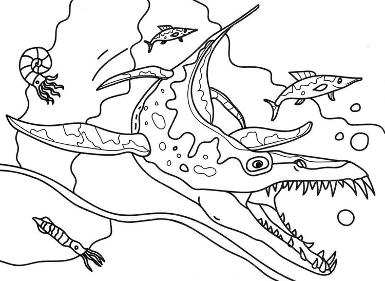 Desenhos de Imagem Mosassauro grátis para colorir