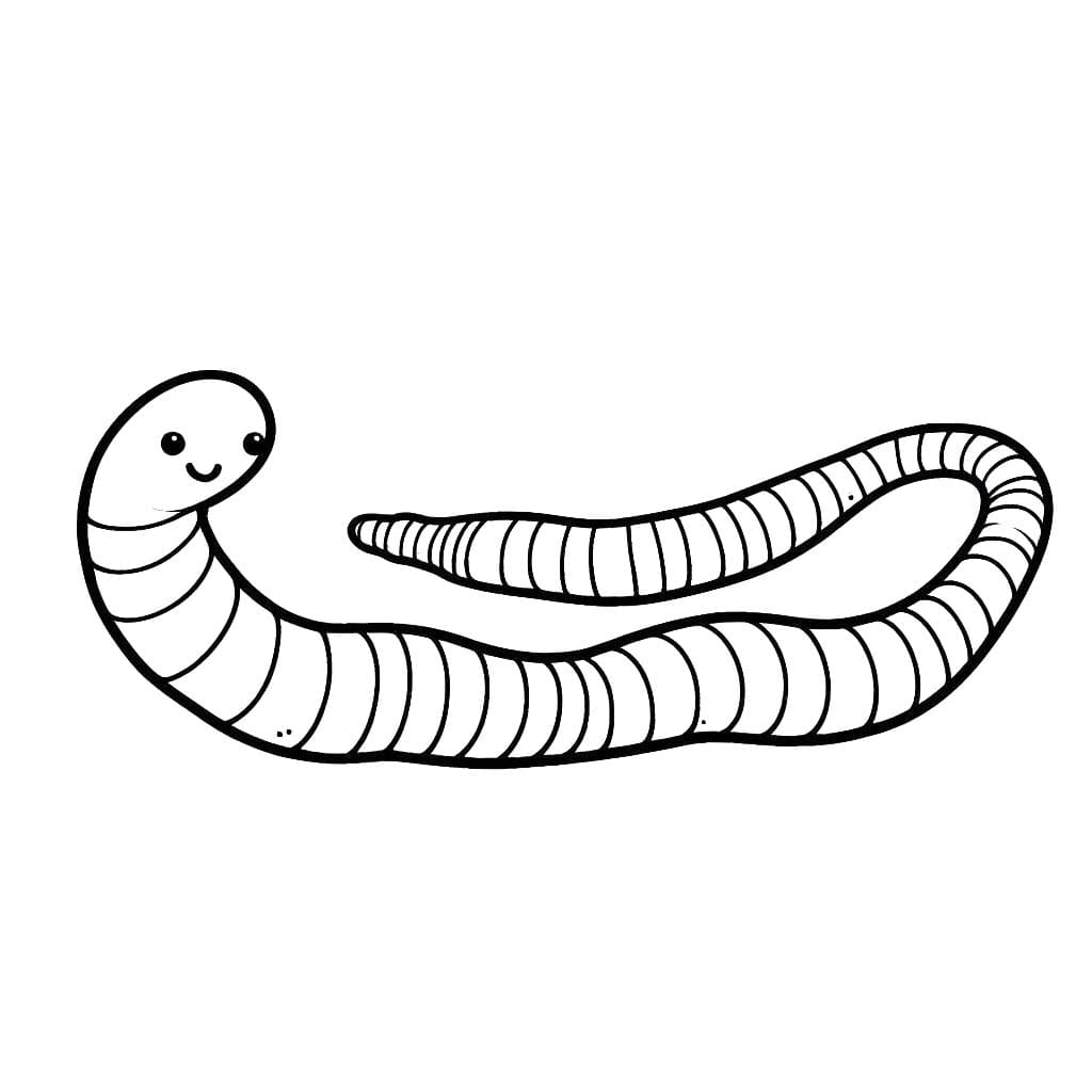 Minhoca 4 para colorir
