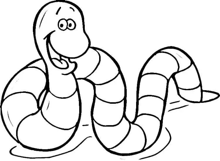Minhoca Para Colorir