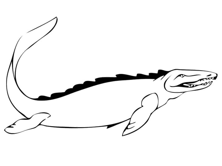 Desenhos de Mosassauro básico para colorir