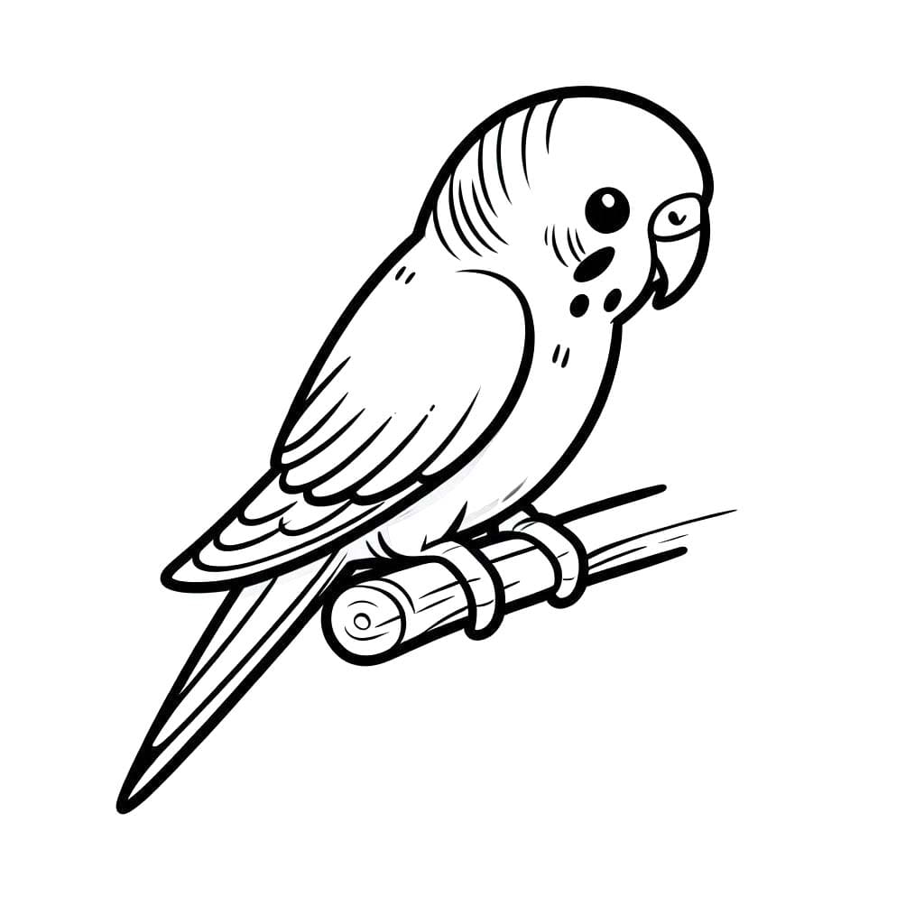 Desenhos de Arara 1 para colorir