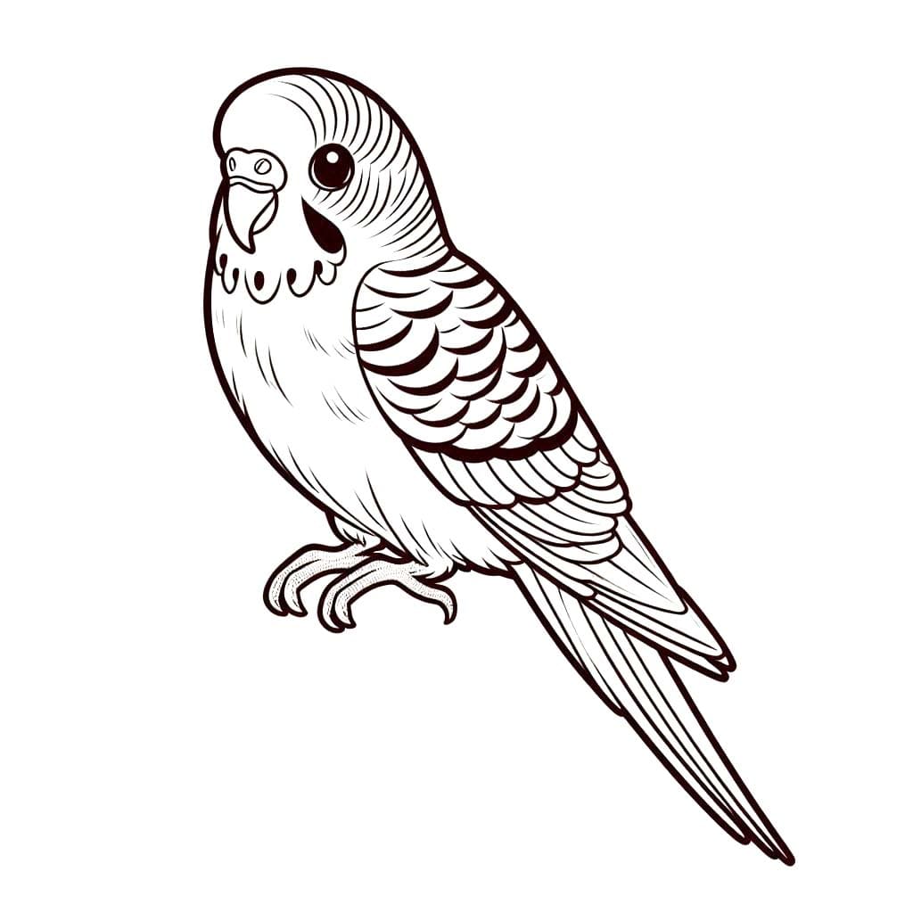 Desenhos de Arara 2 para colorir