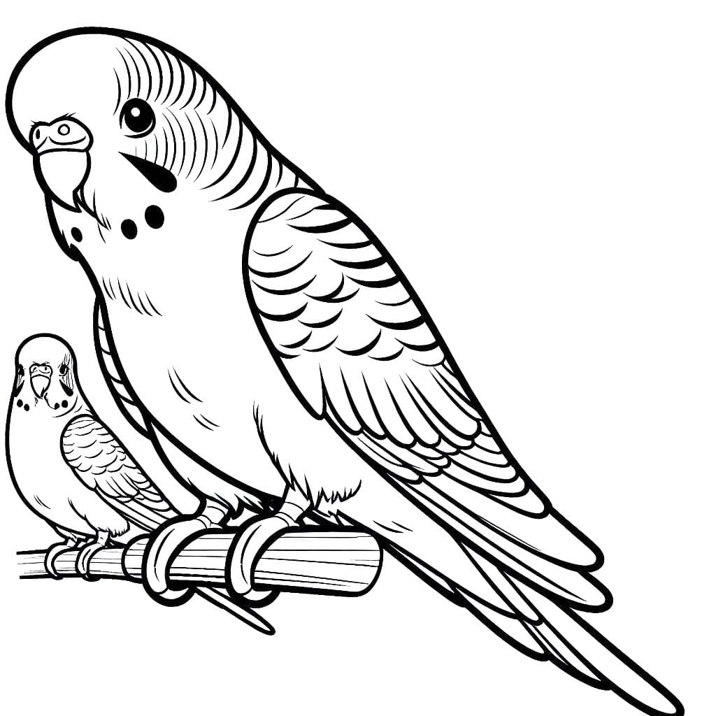 Desenhos de Arara 3 para colorir