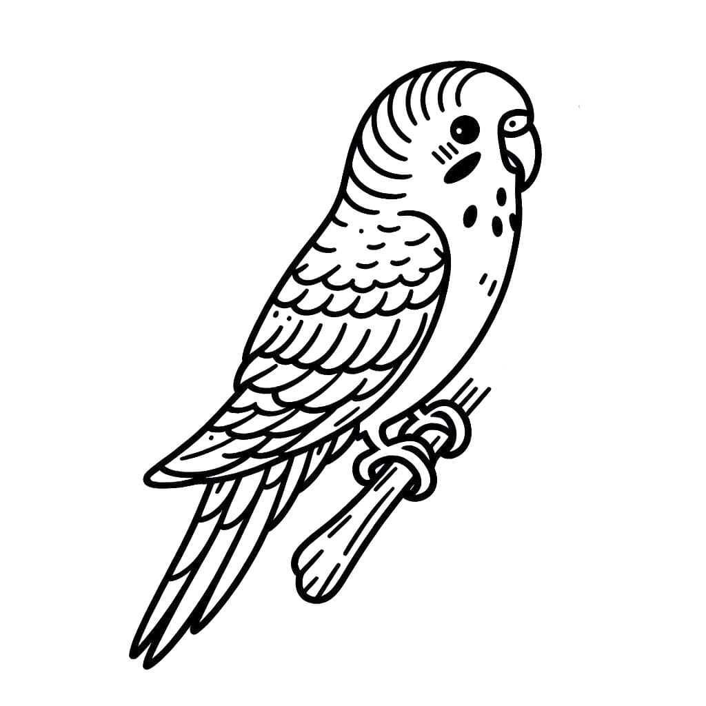 Desenhos de Arara 4 para colorir