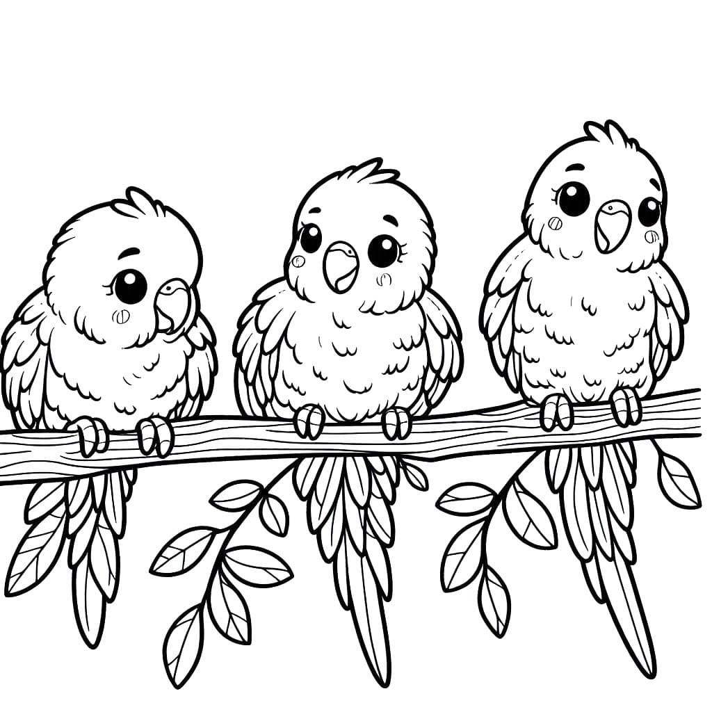 Desenhos de Arara 5 para colorir