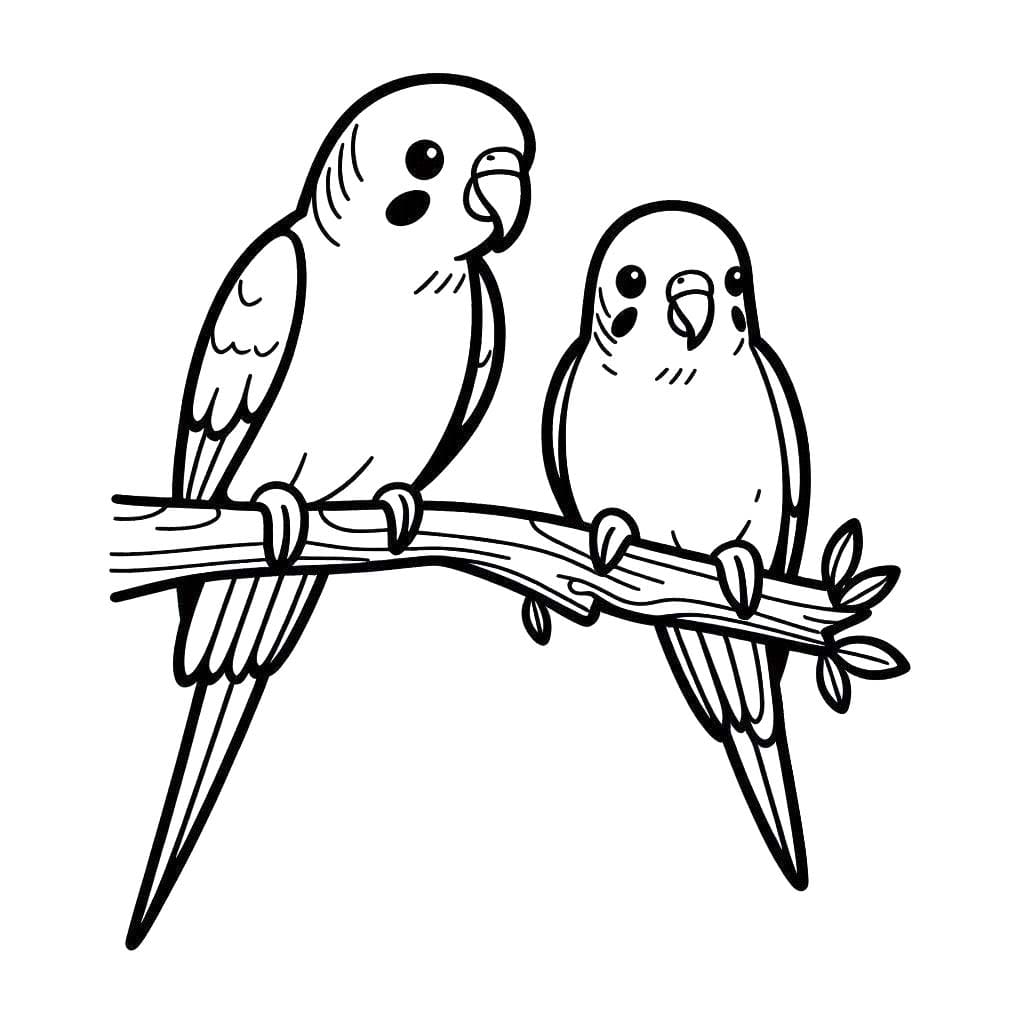 Desenhos de Arara 6 para colorir