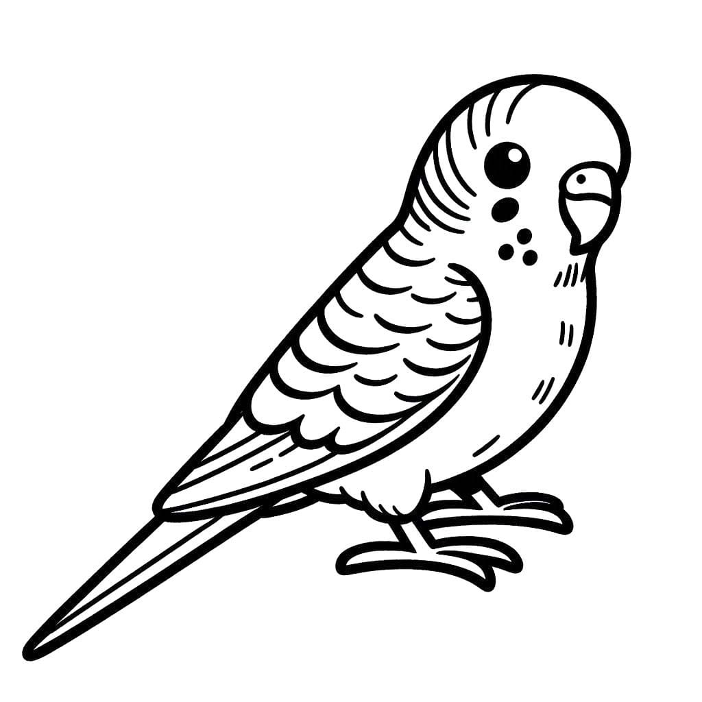 Desenhos de Arara imprimir grátis para colorir
