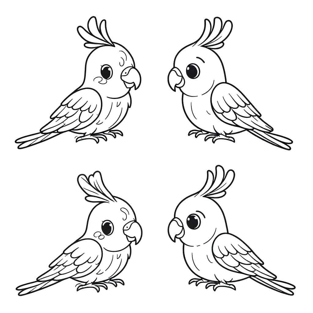 Desenhos de Arara imprimir para colorir