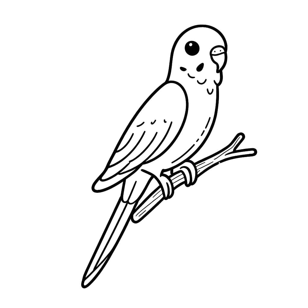 Desenhos de Arara muito fácil para colorir