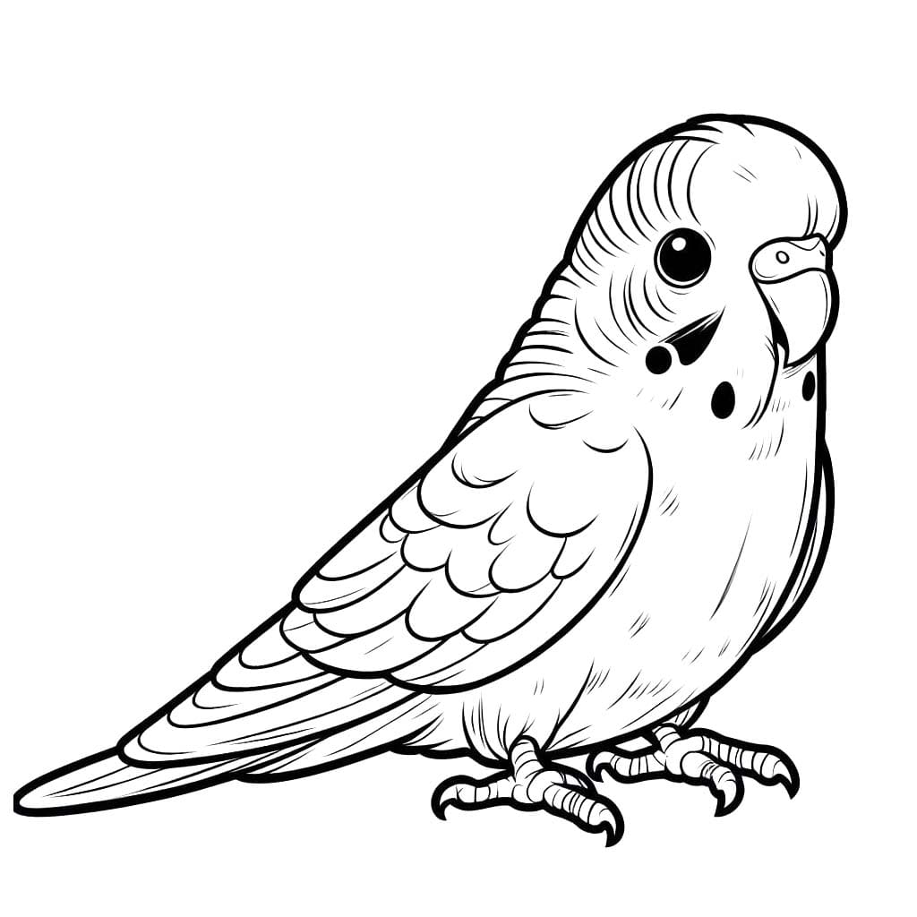 Desenhos de Arara muito simples para colorir