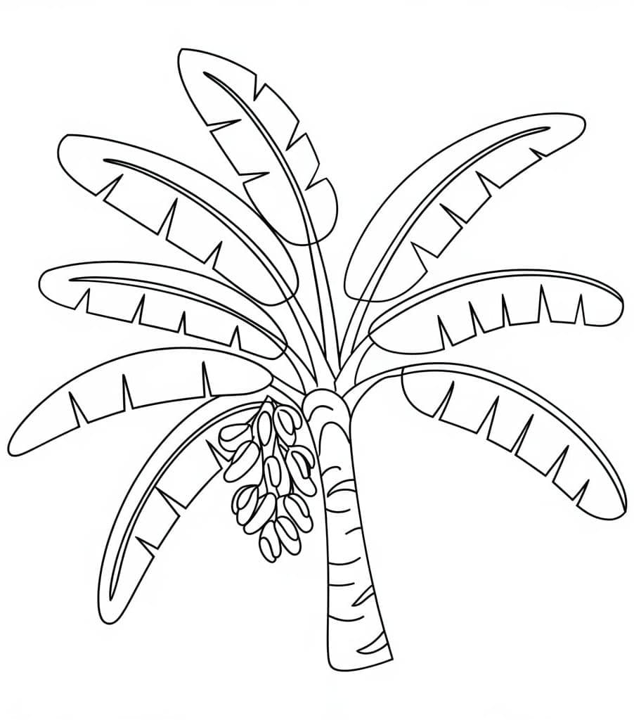 Desenhos de Bananeira bem básico para colorir