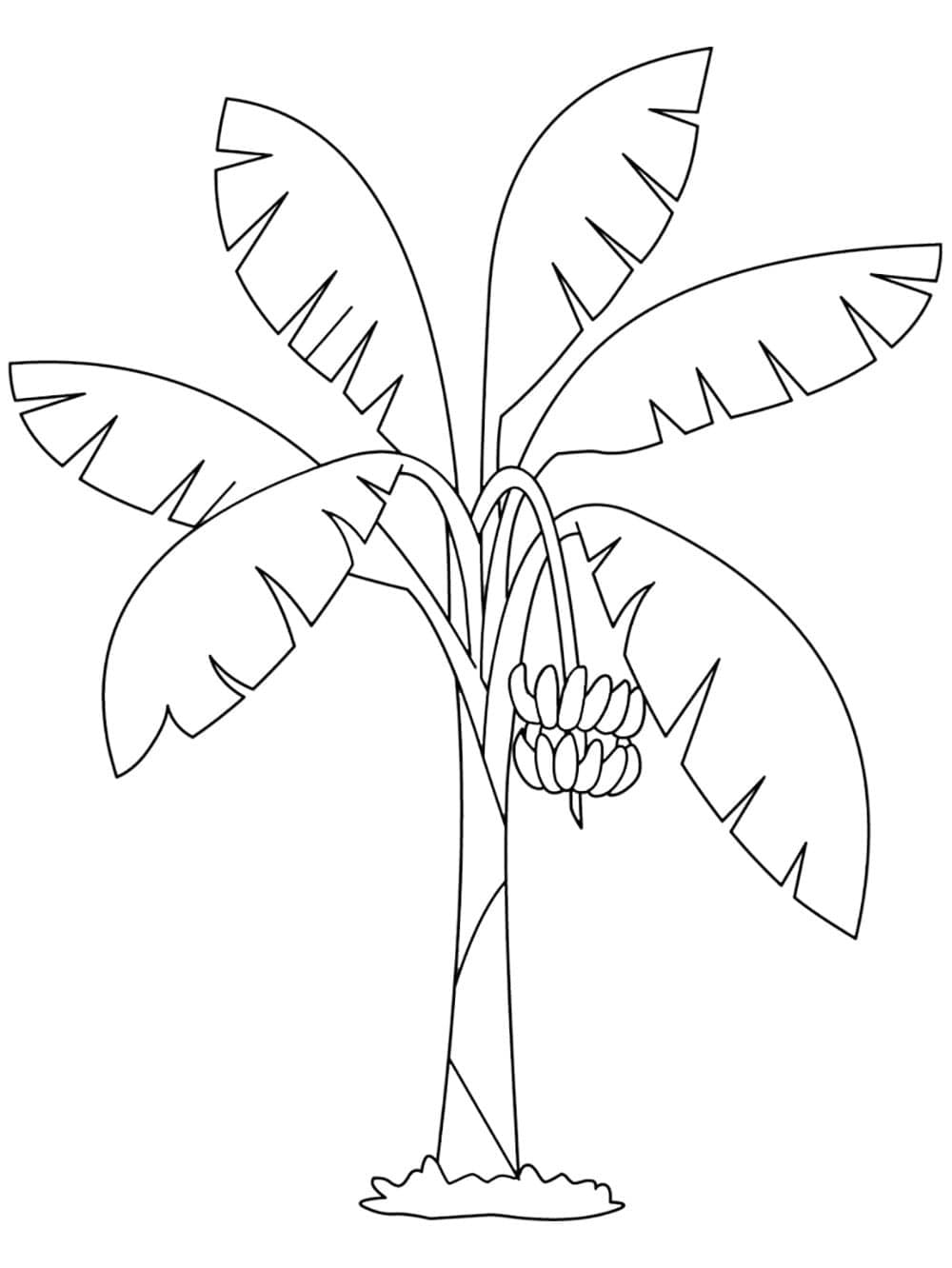 Desenhos de Bananeira imprimir para crianças para colorir