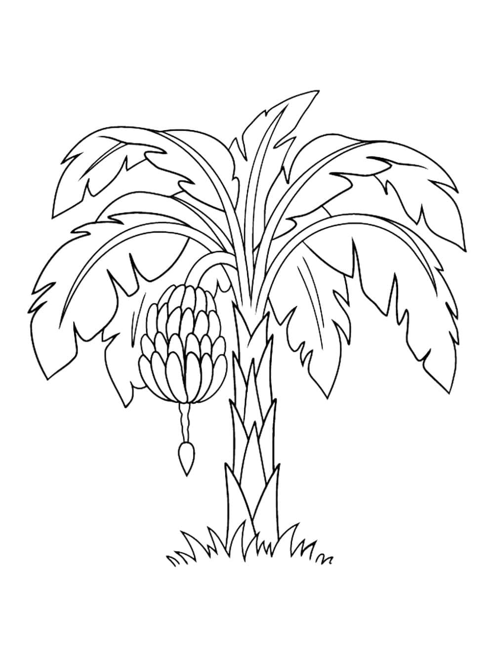 Desenhos de Bananeira para imprimir para colorir