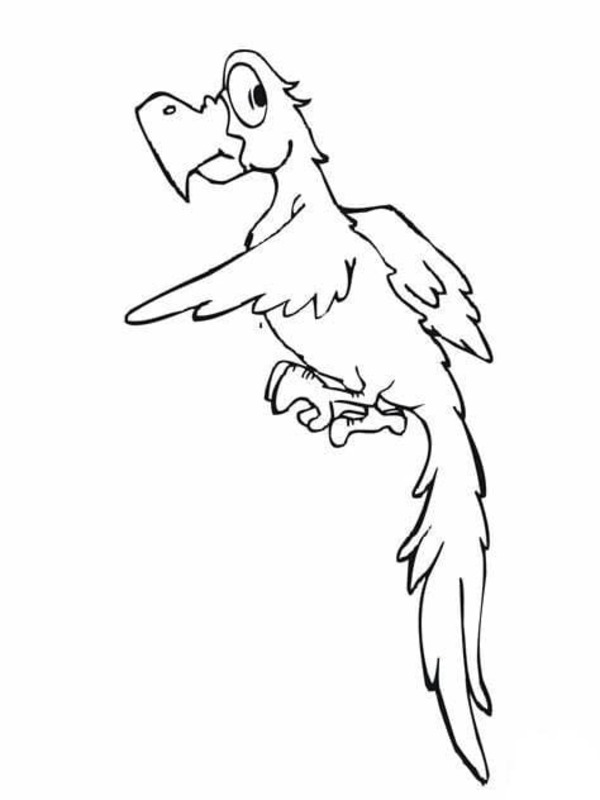 Desenhos de Desenhar Arara divertido para colorir