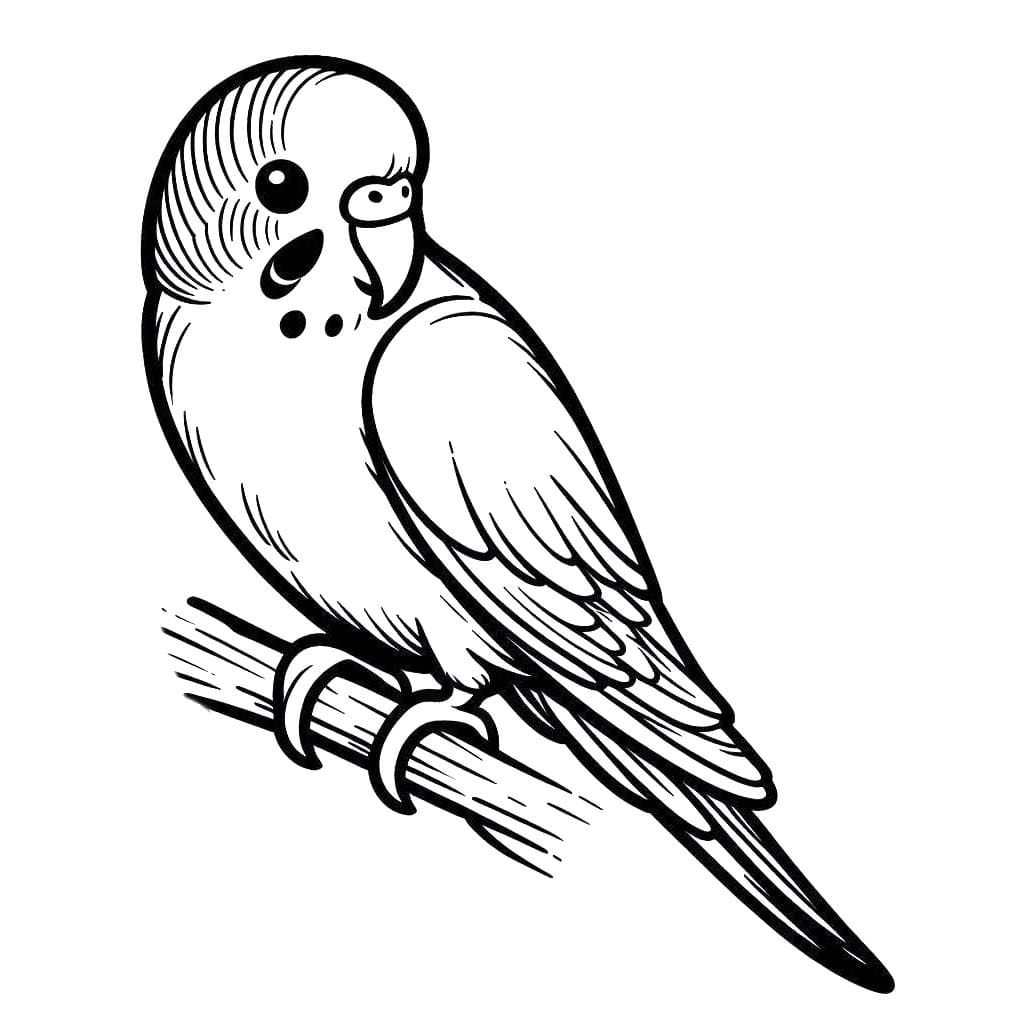 Desenhos de Desenhar Arara muito simples para colorir